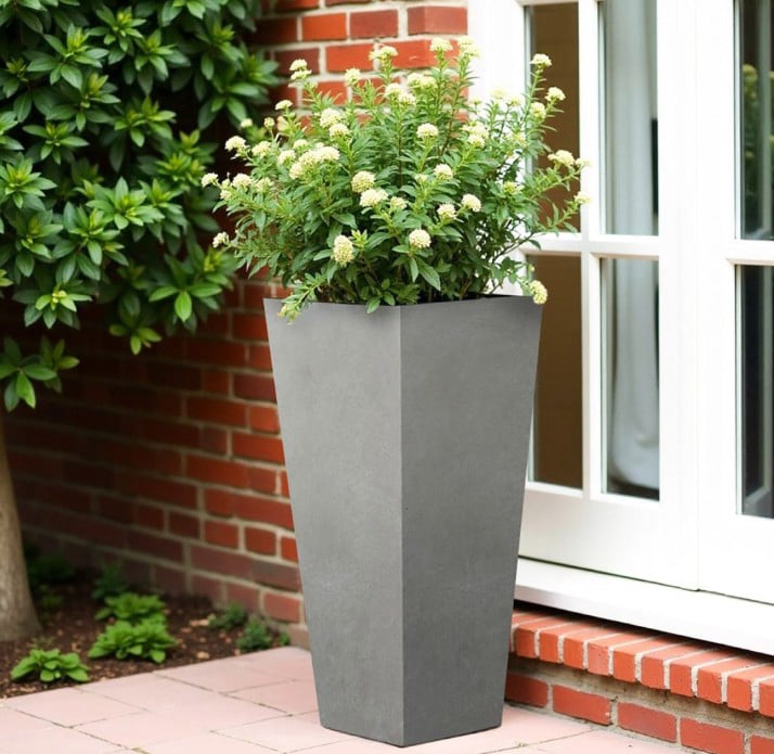 Plant Pots in the UK